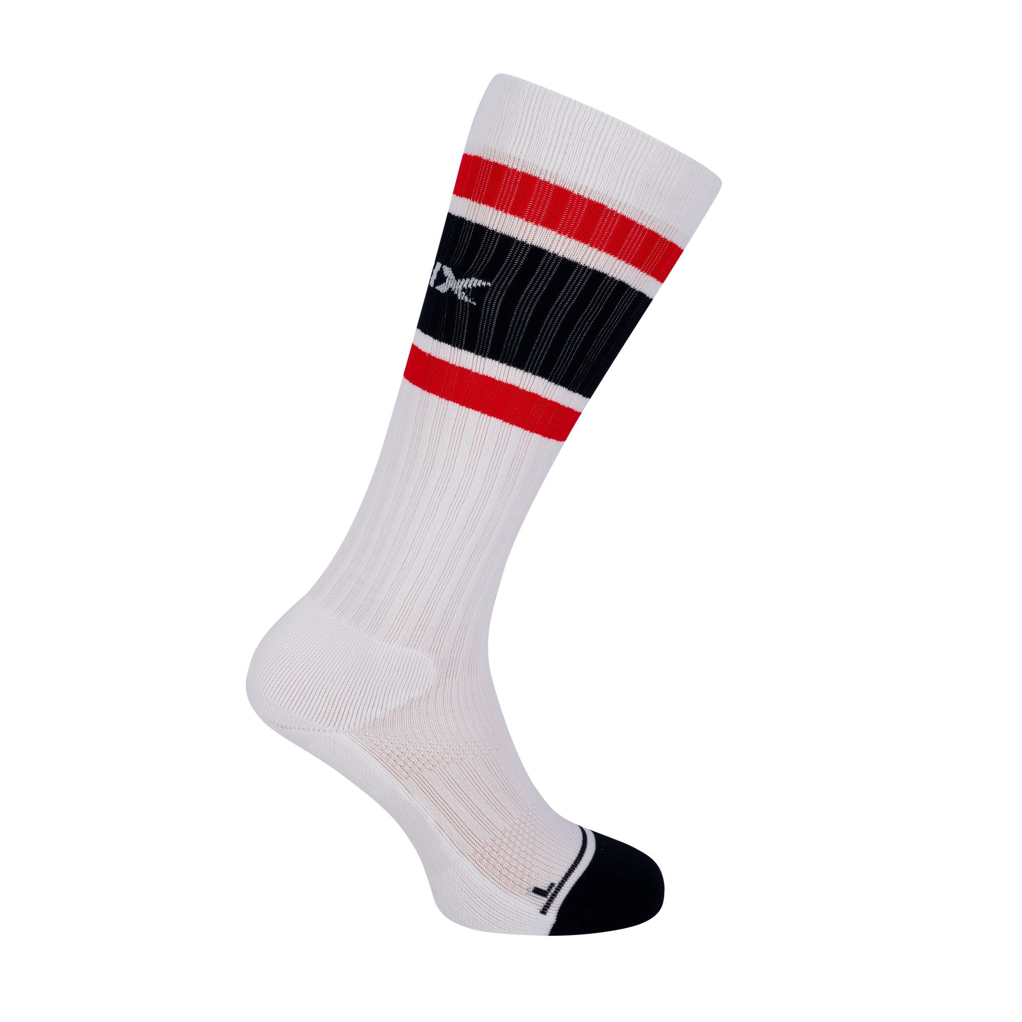 Swix Repeat Socks
