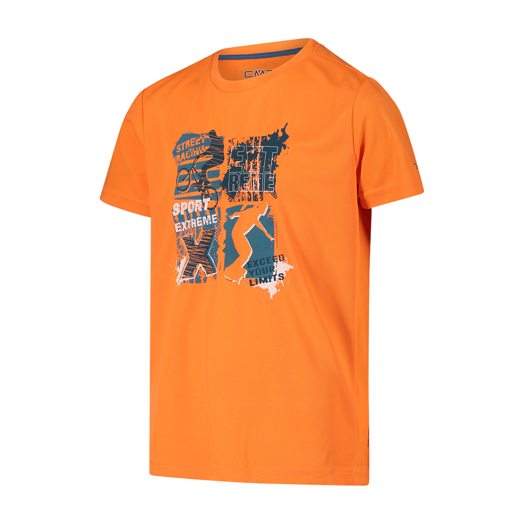 38T6744 C550 C