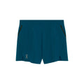 On Train Shorts