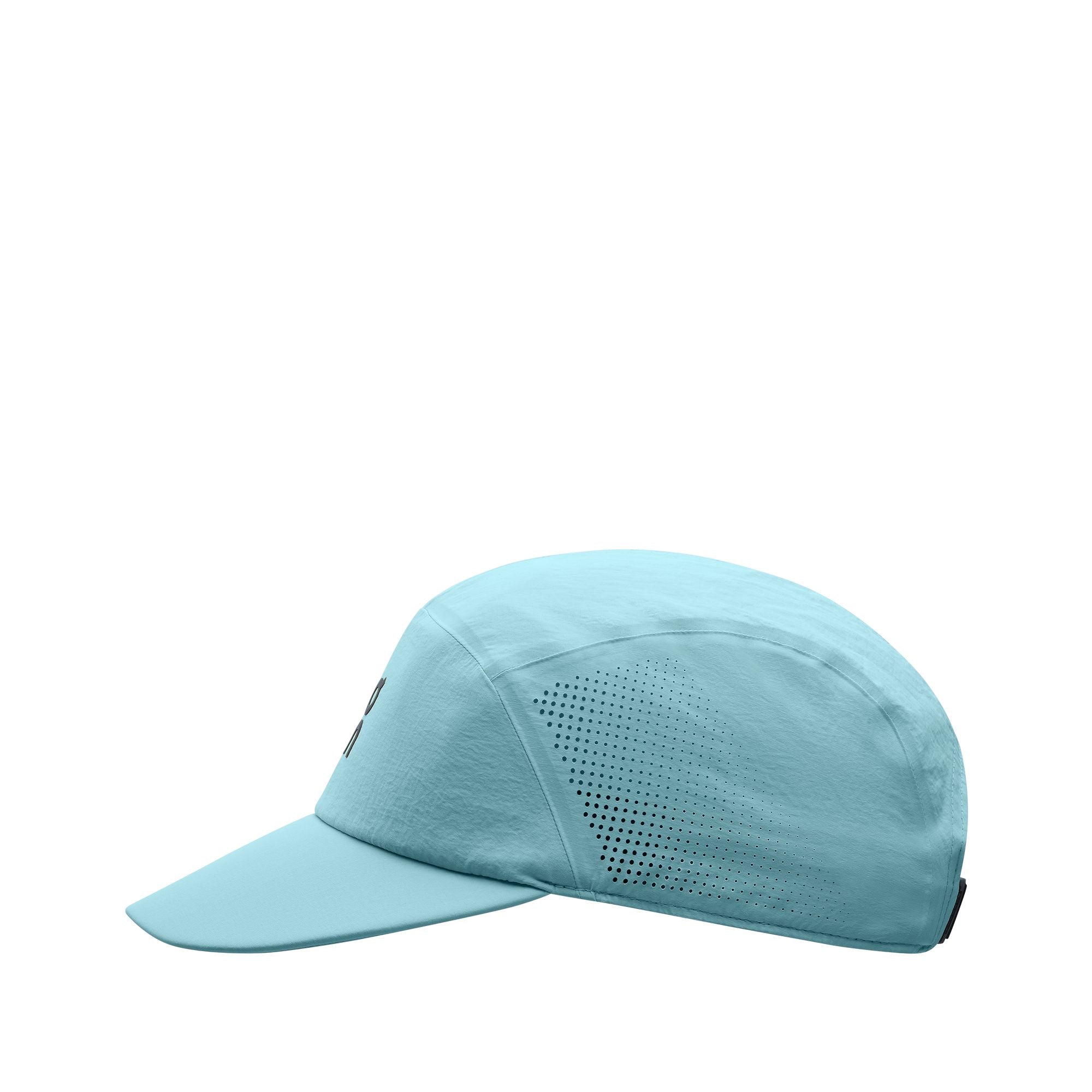 On Performance Cap