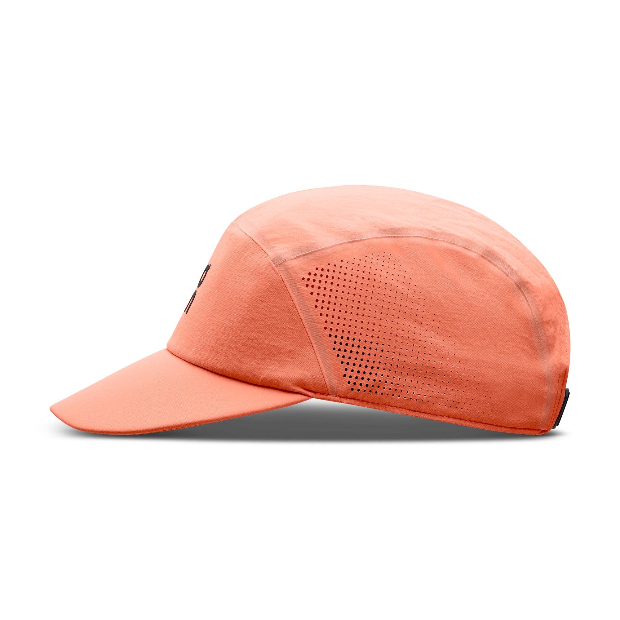On Performance Cap