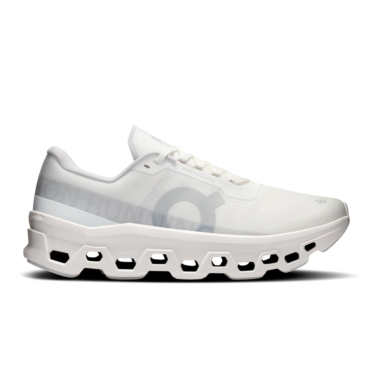 On Cloudmonster 1