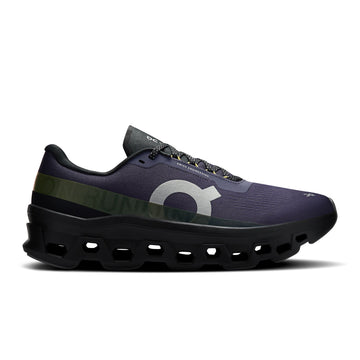 On Cloudmonster 1