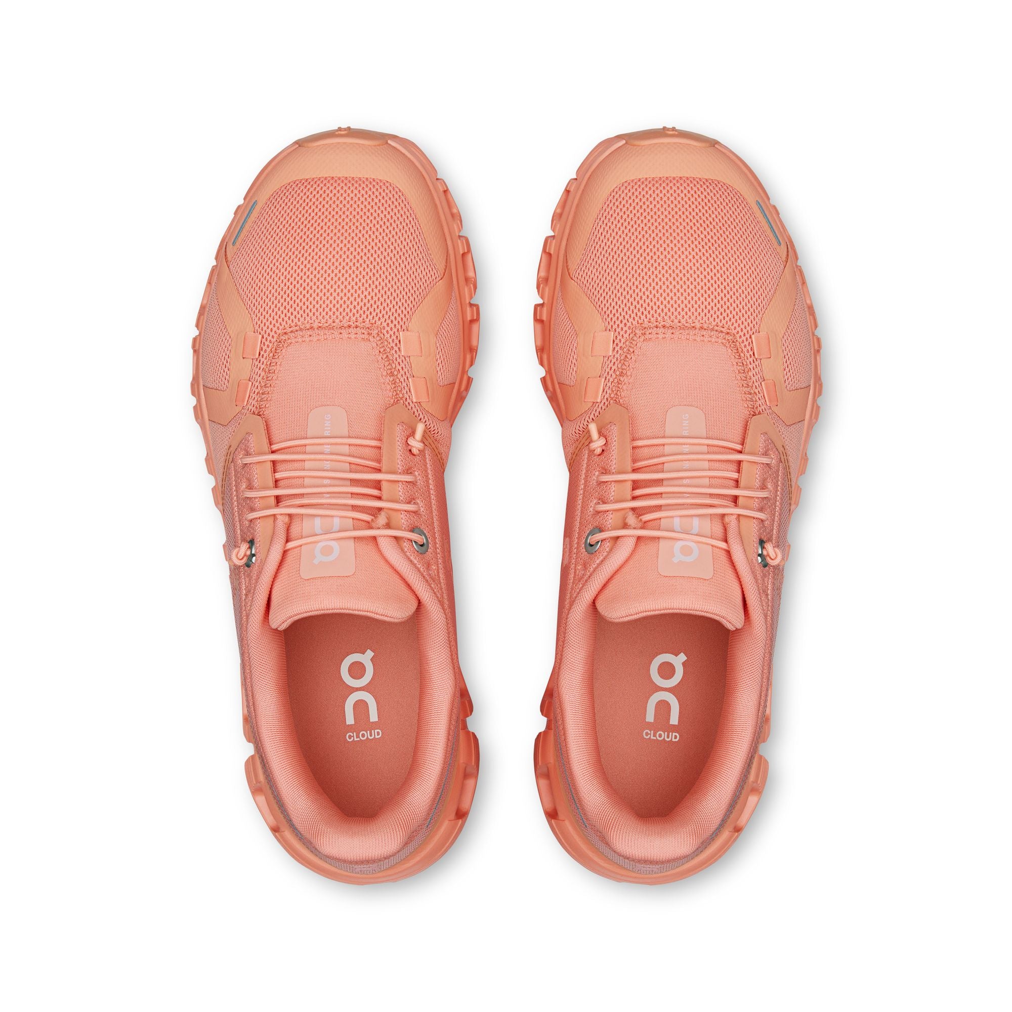 On Cloud 6