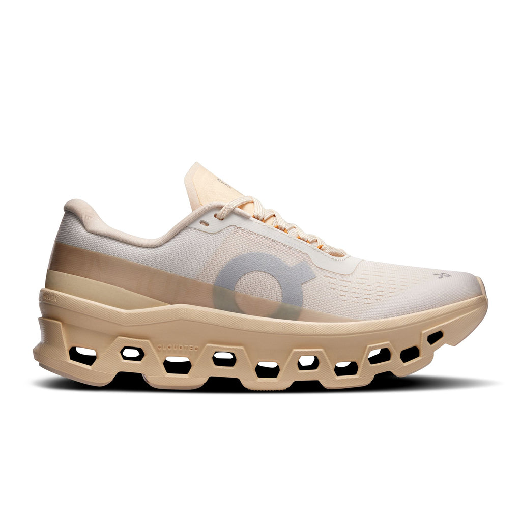 On Cloudmonster 1