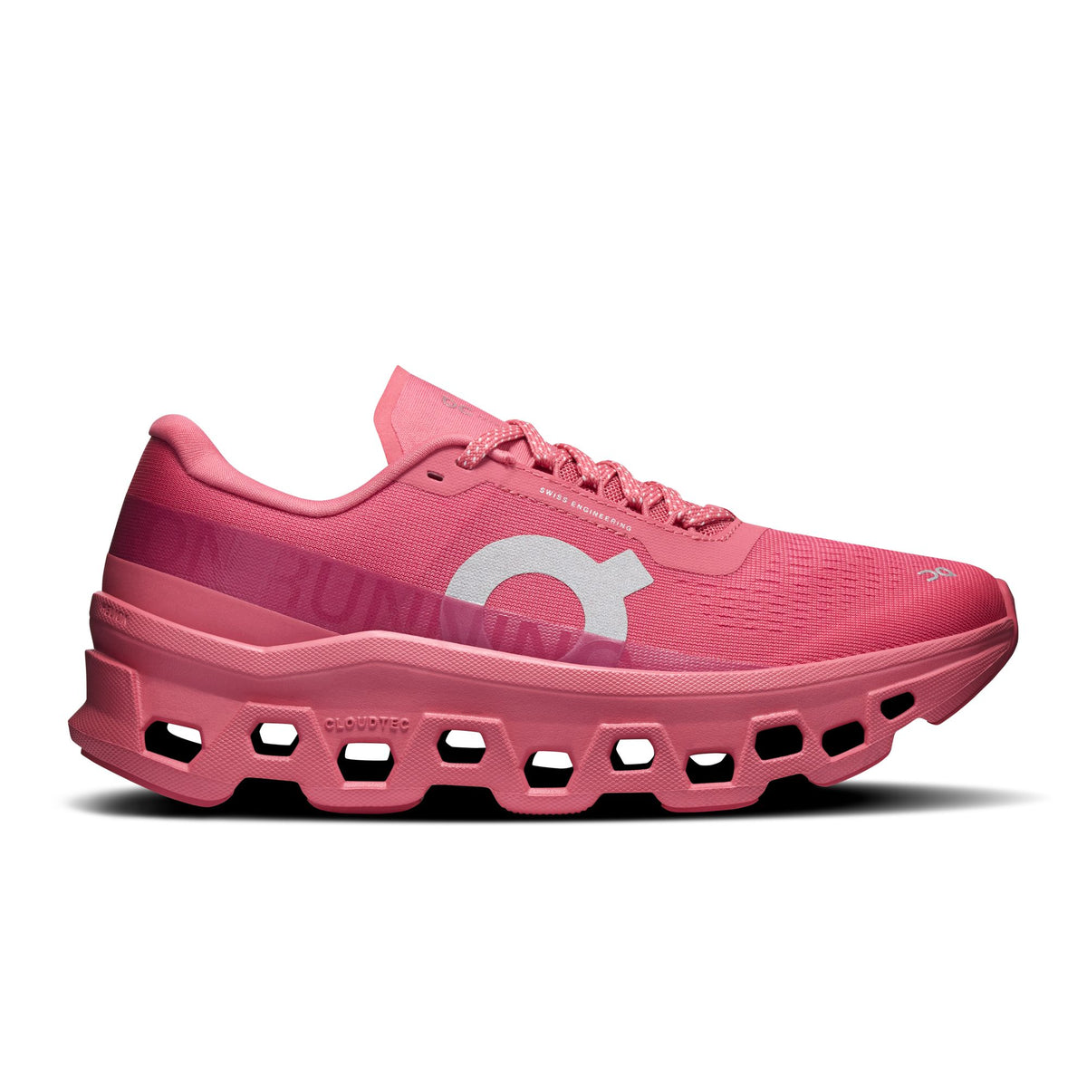 On Cloudmonster 1
