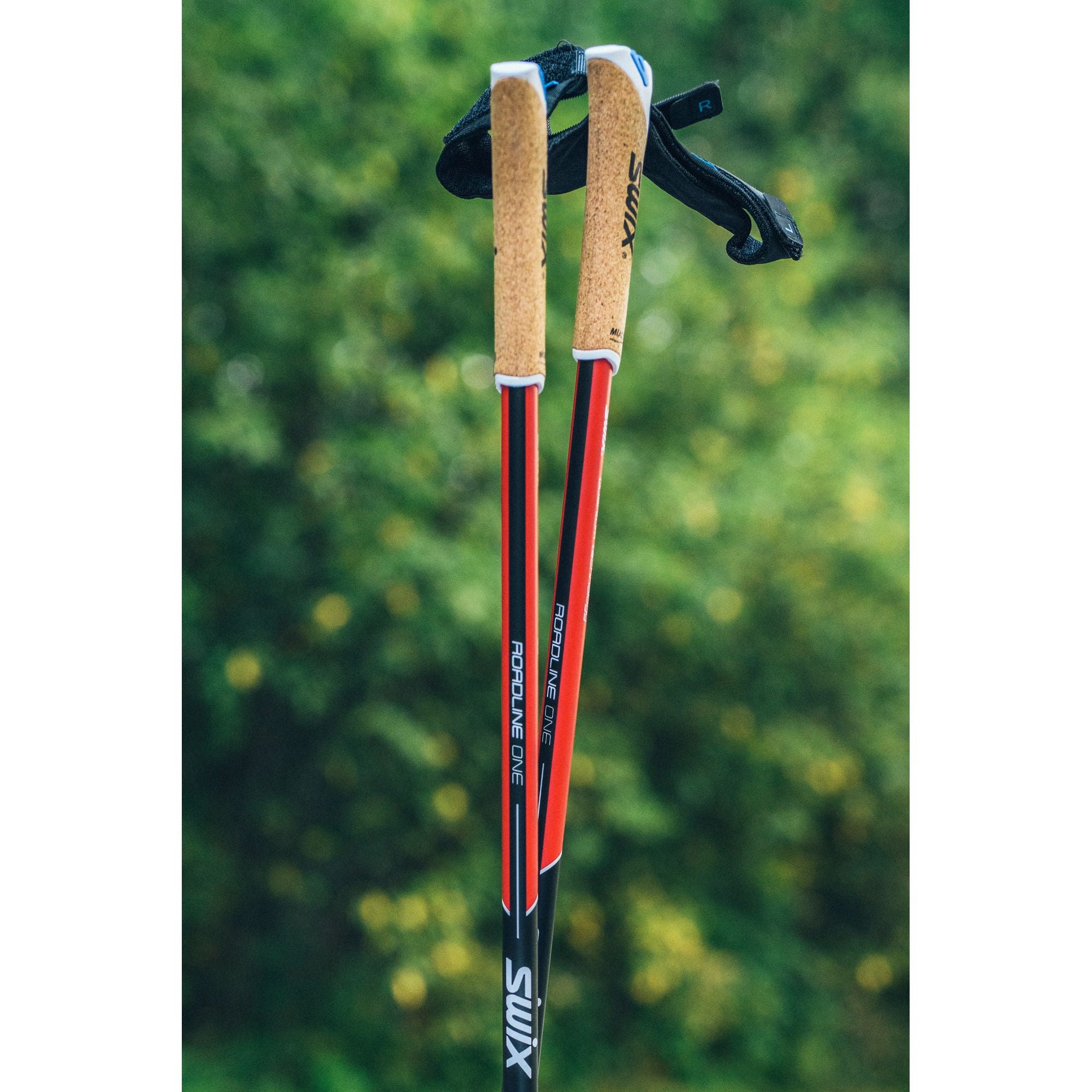 Swix Roadline 1 Pole