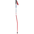 Swix WC Pro SG Carbon