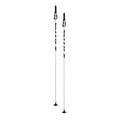 Swix I2 Pole