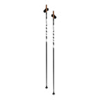 Swix Q3 Pole